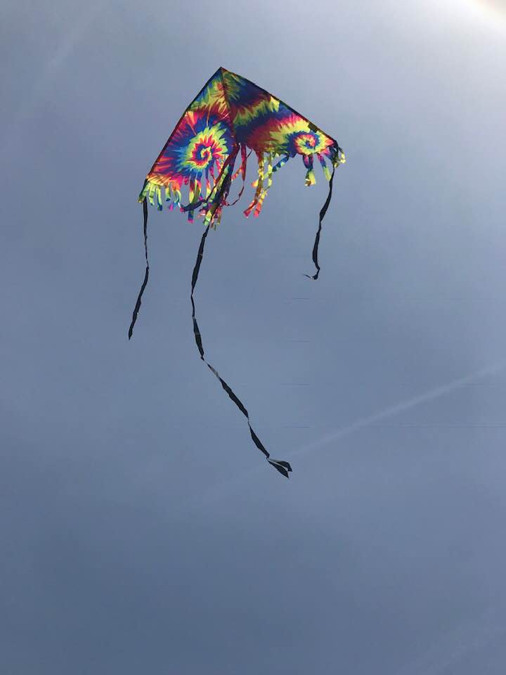 Kite Day in Chico 2019