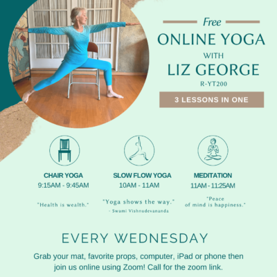 Free Yoga classes online in Chico California Liz george R-YT200 yoga instructor for chair or seated yoga for seniors and slow flow yoga online in zoom flyer is blue