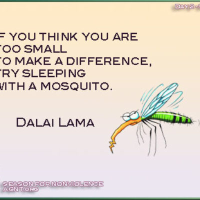 Day 2 Season of Nonviolence quote by the Dali Lama with mosquito