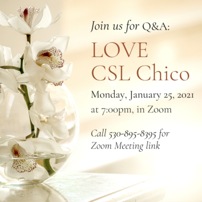 Flyer design image for Love CSL Chico event. The image contains soft pink pastels and an image of a glass vase holding a white orchid.