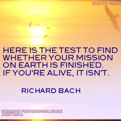 Richard Bach quote on life mission. image of a bird flying across the sun