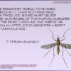 Season of nonviolence quote by the Dali Lama with an image of mosquito