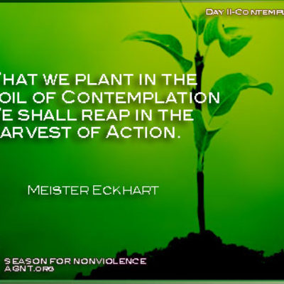 Day 11 Season for nonviolence quote on a green background with a plant growing