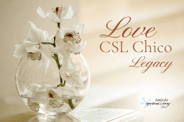 Image of Love CSL Chico Legacy fund bequest for CSL Chico image of white orchid in clear glass vase