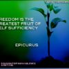 Quote by epicurus on freedom image of a plant growing in a dark blue and green background